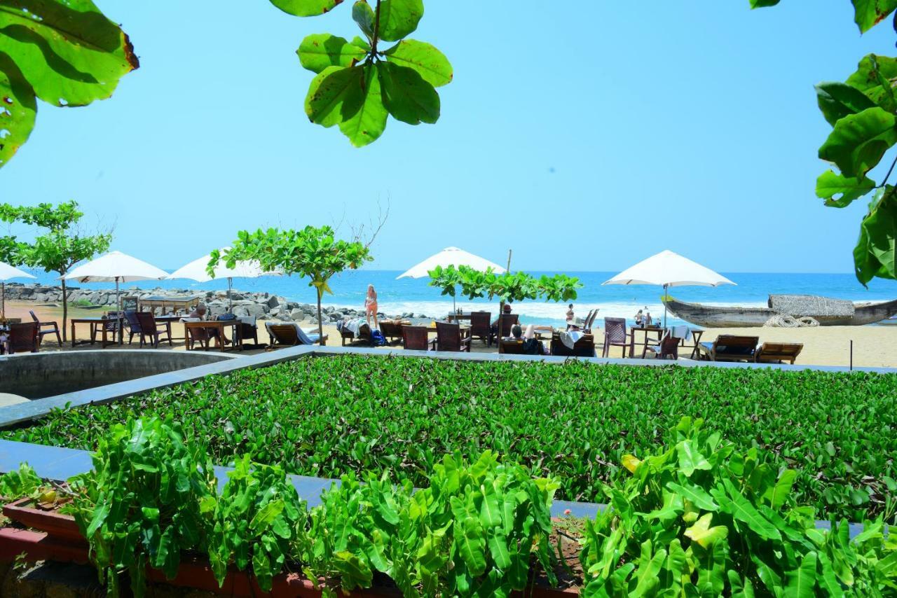 Palm Tree Anex Hotel Varkala Exterior photo